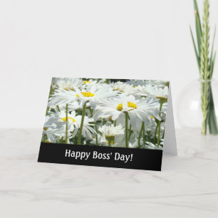 Glad Bossdag! kort Vita tusenskönor Blommor Chefer