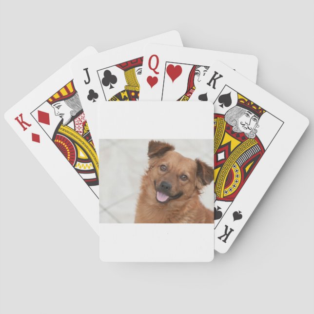 Glad Brun Valp Hund Spel Kort (Baksidan)