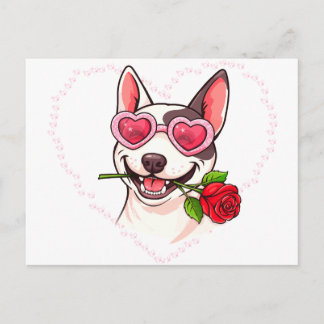 Glad bullterrier vykort
