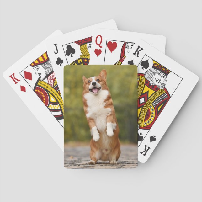 Glad Corgi Valp Stående Foto Casinokort (Baksidan)