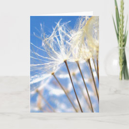 Glad, Dansande Maskrosfluff, Naturens Poesi Kort