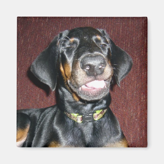 Glad Dobermann-valp Magnet (Framsidan)