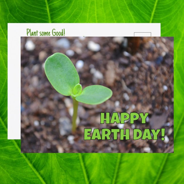 Glad Earth Day Grodd Ny Tillväxt Fotografisk Vykort (Skapare uppladdad)