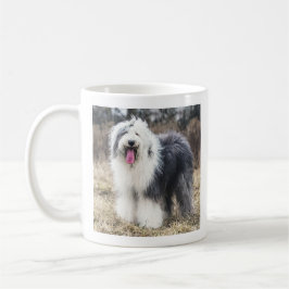 Glad gammal engelsk herdehund Fluffig Porträtt Kaf Kaffemugg