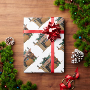 Glad gammal jul tomte, Jessie Willcox Smith Presentpapper