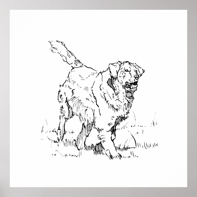 Glad Golden Retriever, Personlig Poster (Framsidan)