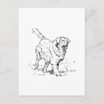 Glad Golden Retriever, Personlig