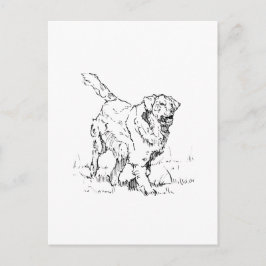 Glad Golden Retriever, Personlig Vykort