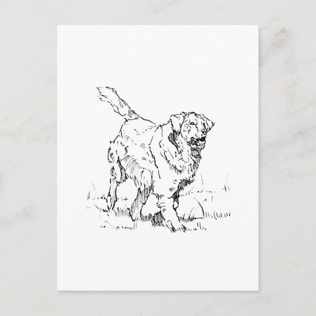 Glad Golden Retriever, Personlig Vykort (Framsida)