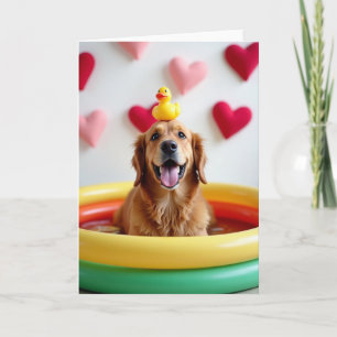Glad Golden Retriever Poolkort Kort