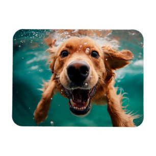 Glad Golden Retriever som simmar under vattnet Magnet