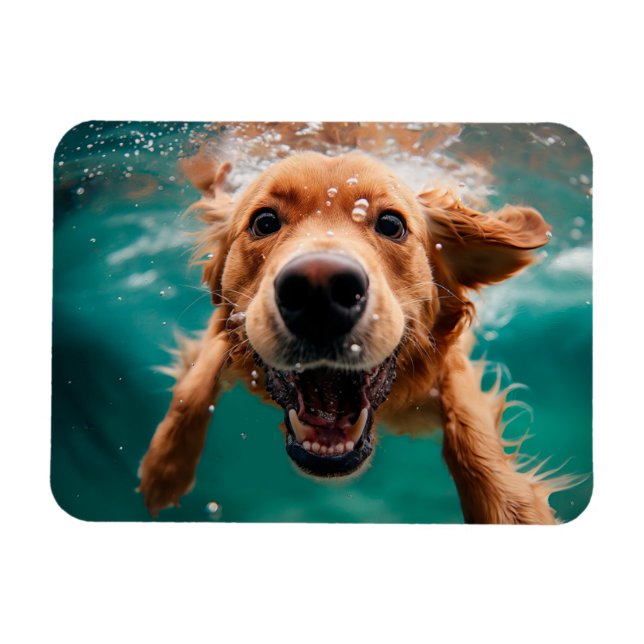 Glad Golden Retriever som simmar under vattnet Magnet (Horisontell)
