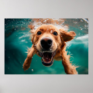 Glad Golden Retriever som simmar under vattnet Poster