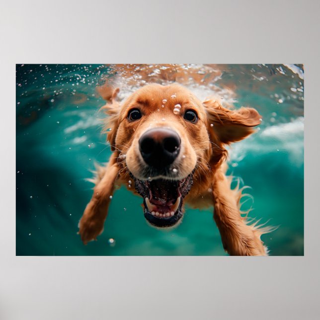 Glad Golden Retriever som simmar under vattnet Poster (Framsidan)