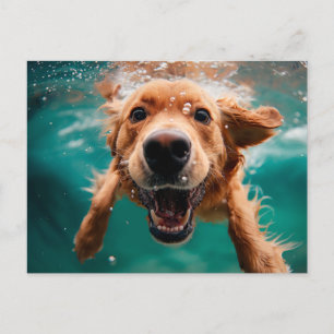 Glad Golden Retriever som simmar under vattnet Vykort