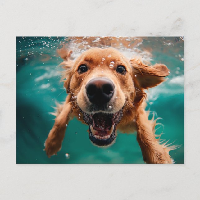 Glad Golden Retriever som simmar under vattnet Vykort (Framsida)