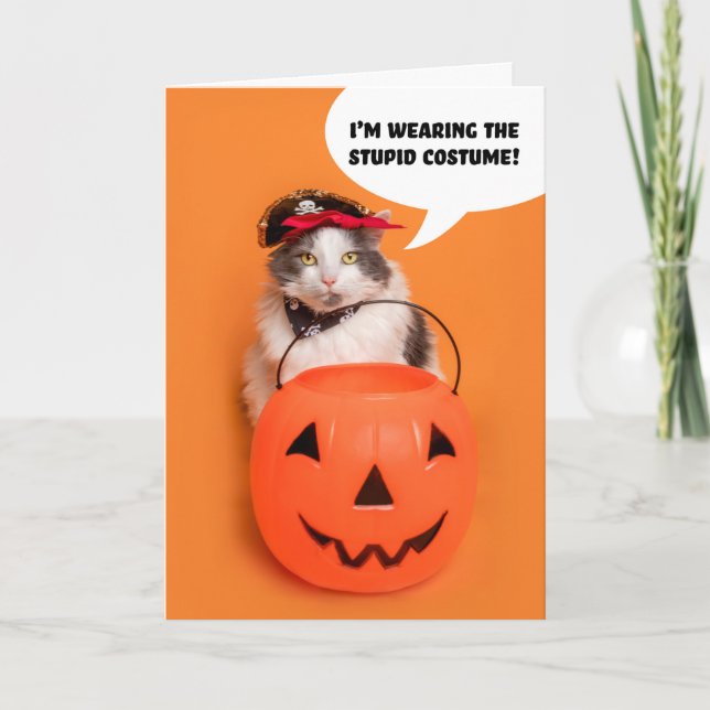 Glad Halloween för alla galna katter i kostym Helgkort (Framsida)