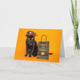 Glad Halloween för alla roliga sjörövar katter Helgkort