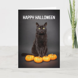 Glad Halloween för alla svarta katter med pumpa Helgkort