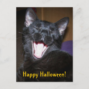 Glad Halloween Gäspning Svart Katt Postkort Vykort