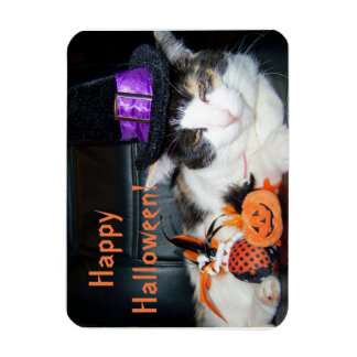 Glad Halloween Häxa Katt Kort Magnet