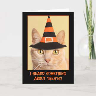 Glad Halloween Orange Tabby Katt Häxa Helgkort