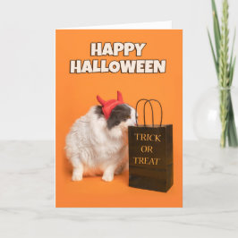 Glad Halloween till alla Katt i kostym Helgkort