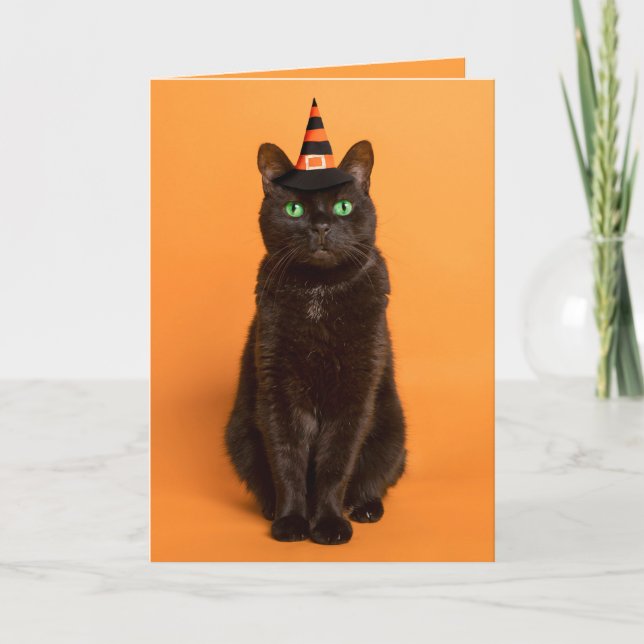 Glad Halloween till alla Svart katt i häxhatt  Helgkort (Framsida)