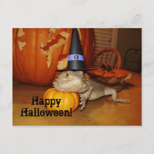 Glad Halloween! Vykort