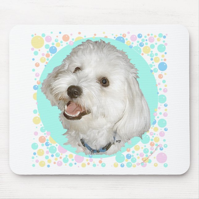 Glad Havanese Musmatta (Framsidan)