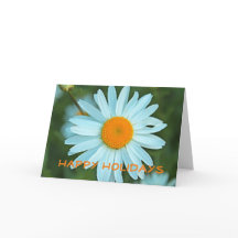 Glad helg av vit daisy