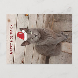 Glad helg CaGray Cat-vykort Vykort