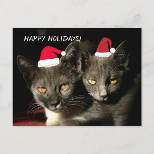 Glad helg Cats vykort