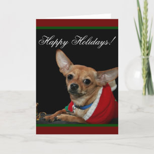 glad helg Chihuahua