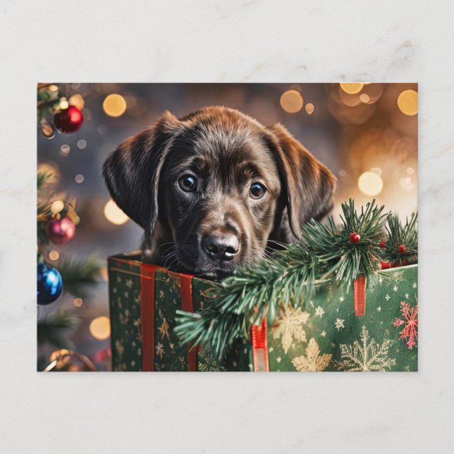 Glad helg Cute Chocolate Lab Puppy Vykort (Framsida)