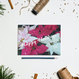 Glad helg Festive Poinsettias