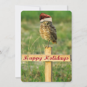 Glad helg Festive Uggla Card stort 5 x 7 Julkort