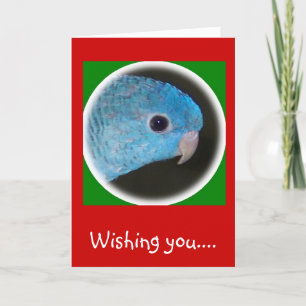 glad helg för linjeparakeet christmas-kort