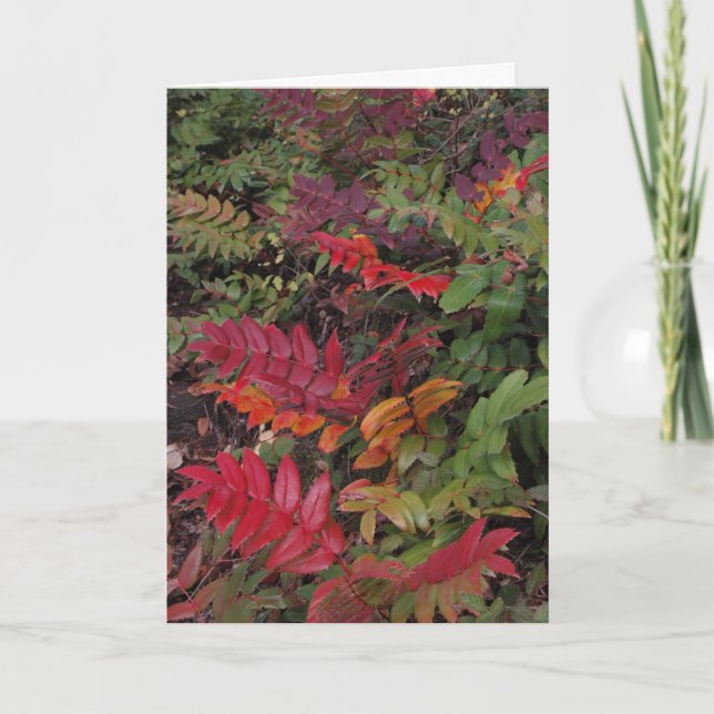 Glad helg från den Stillahavs- northwesten (Framsida)