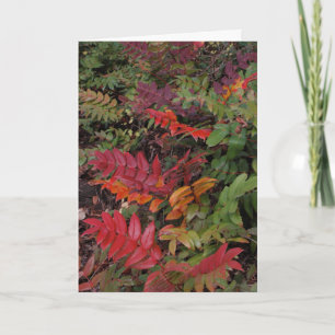 Glad helg från den Stillahavs- northwesten