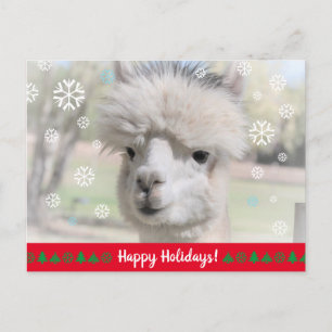 Glad helg från Snö Alpaca Vykort