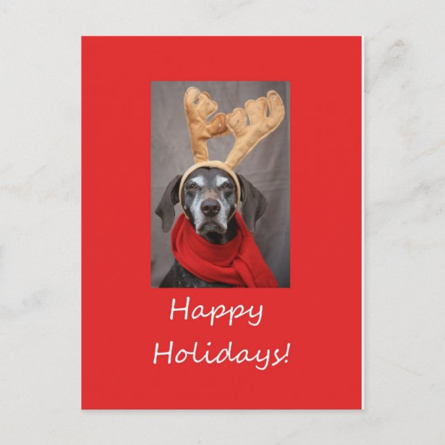 Glad helg german Shortar peinter Vykort (Framsida)