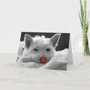 Glad helg - gulligt Westie hundkort