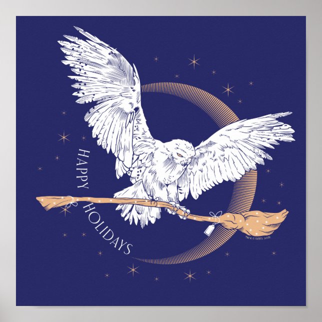 Glad helg Hedwig Delivery Poster (Framsidan)