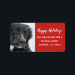Glad helg Hund och Snö Returadress Adressetikett<br><div class="desc">Soulful svart hund med snö i hennes päls. Glad helg returetiketter för dina helgdag. Ta bara bort det aktuella fotot och lägg till din egen hund foto.</div>