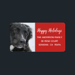 Glad helg Hund och Snö Returadress Adressetikett<br><div class="desc">Soulful svart hund med snö i hennes päls. Glad helg returetiketter för dina helgdag. Ta bara bort det aktuella fotot och lägg till din egen hund foto.</div>