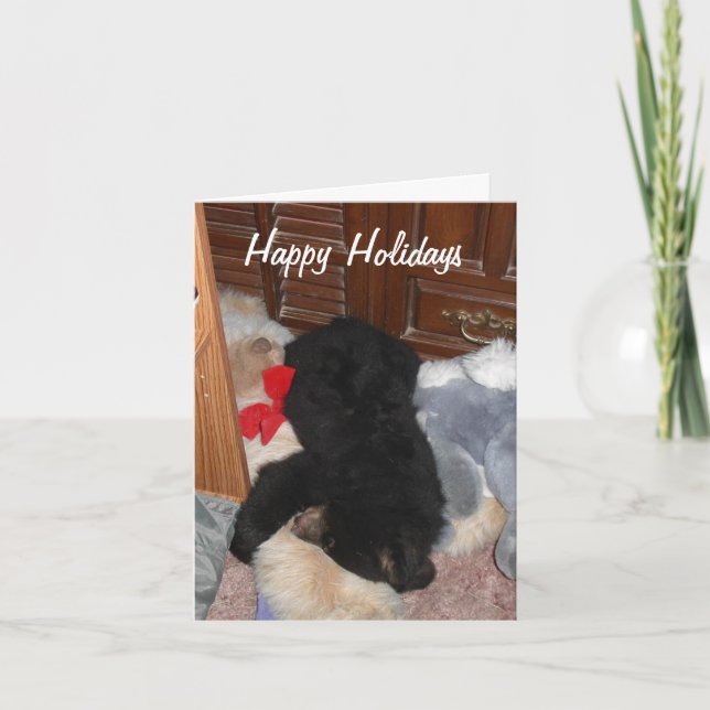 Glad helg - ljusa Shenandoah (Framsida)