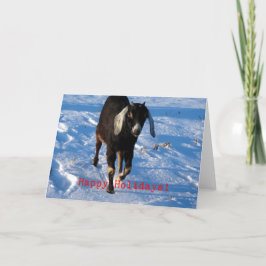 Glad helg Nubian Goat