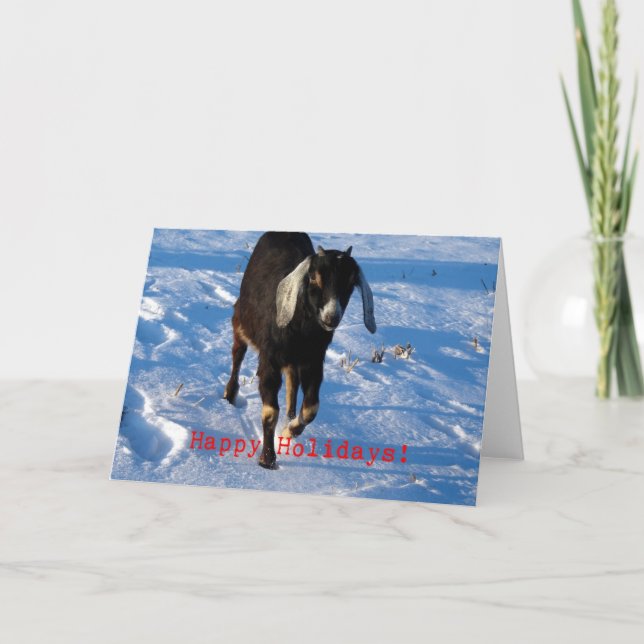 Glad helg Nubian Goat (Framsida)