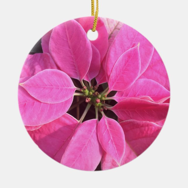 Glad helg Poinsettia Julgransprydnad Keramik (Framsidan)
